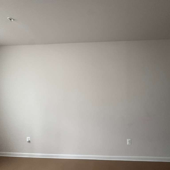 Picture Frame Molding