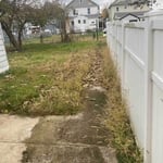 Yard clean up