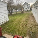 Yard clean up