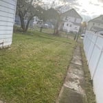 Yard clean up
