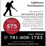 Bees nest removal