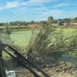 Pond Rehab