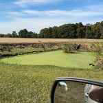 Pond Rehab