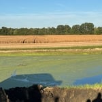 Pond Rehab