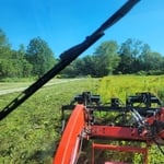 Bush Hogged 1 acre field