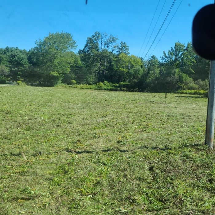 Bush Hogged 1 acre field