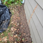Backfilled