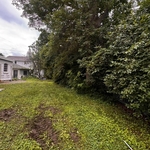 Yard tear out