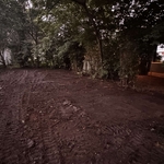 Yard tear out