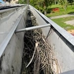 Dirty Gutters!