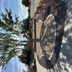 Hardscape install