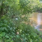 River bank restoration