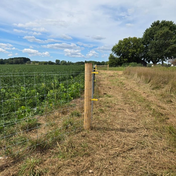 Woven wire fence