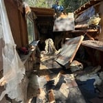 Shed demo