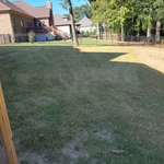 Lawn Care Maintenance