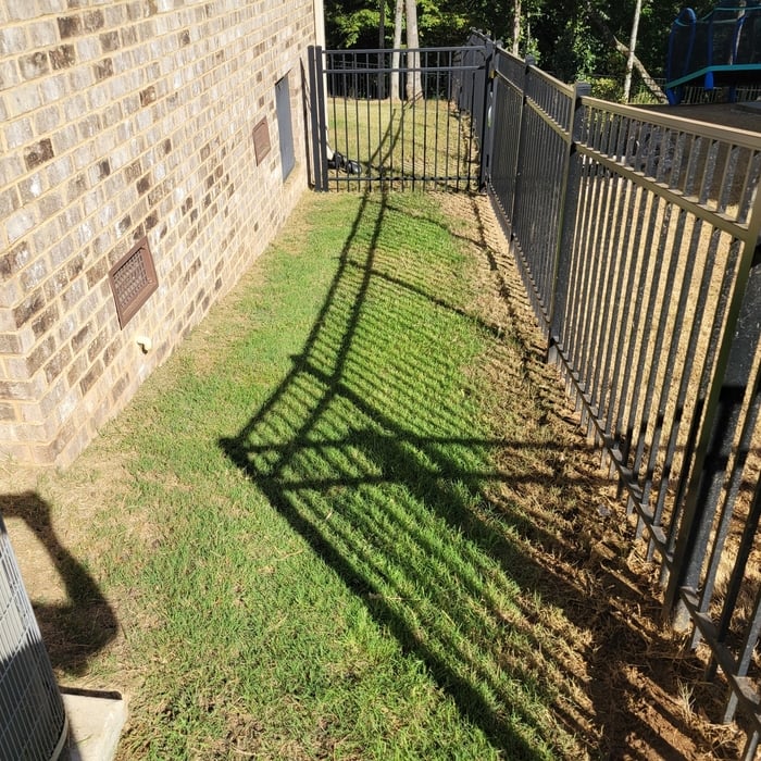 Lawn Care Maintenance