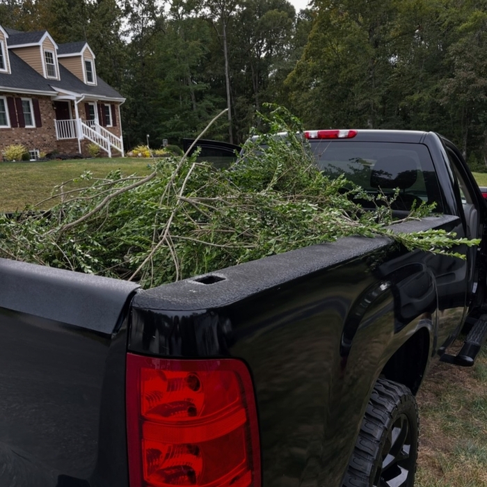 Yard Waste Removal