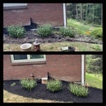 Mulching