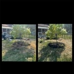 Mulching