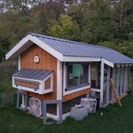 Custom Chicken Coop