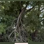 Storm Damage Cleanup