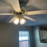 Move-out cleaning
