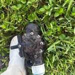 valve replacement