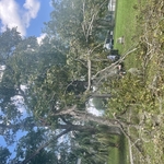 Tree Service Project