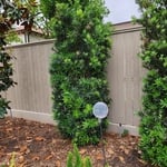 Additional Photos
