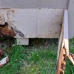 Shed Repair