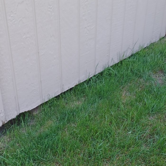 Shed Repair