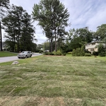 Landscaping Project