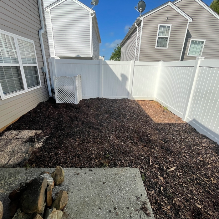 Before Photos
