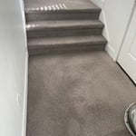 Carpet Cleaning Project