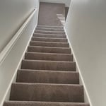 Carpet Cleaning Project