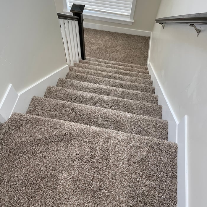 Carpet Cleaning