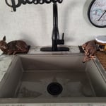 Camper sink replacement