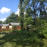 Tree job