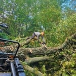Storm Clean up