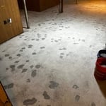 Janice's Floor