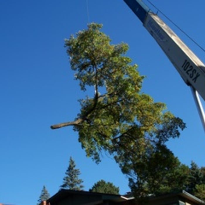 Crane Removal