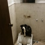 Ramp and concrete pad