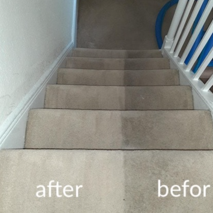 Carpet Cleaning