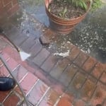Power washing