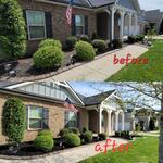 Pruning and Mulching