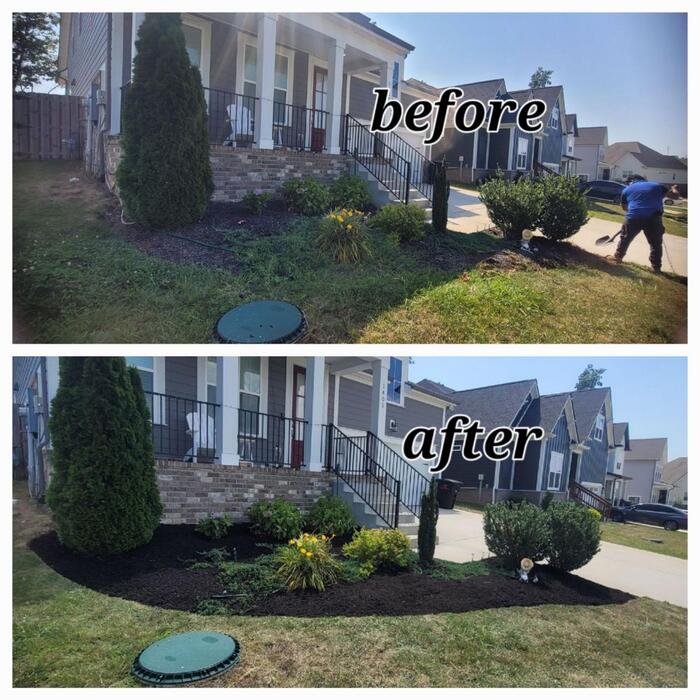 Titlethe before and after