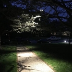 Walkway is illuminated