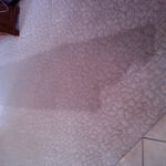 Everything was cleaned except the last lane out the door. Great results from residential customer.