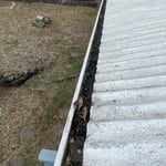 Gutter cleaning