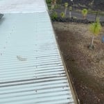 Gutter cleaning